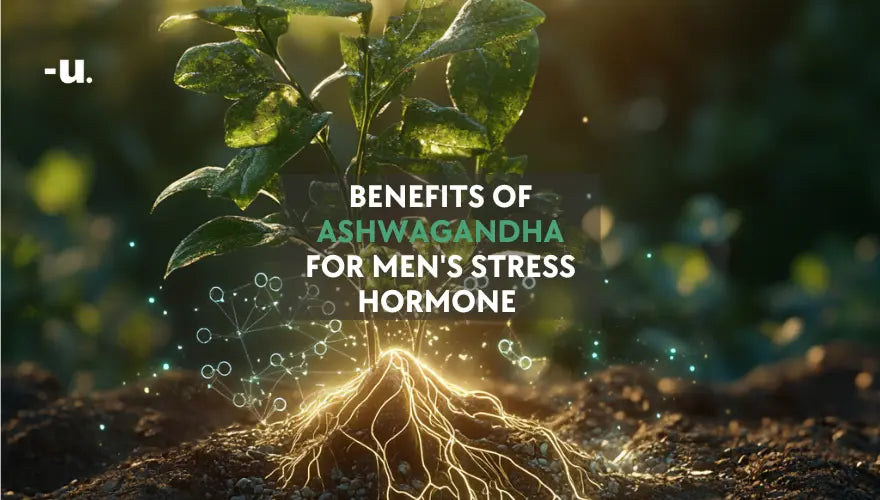 Benefits of Ashwagandha for men’s stress and hormone health