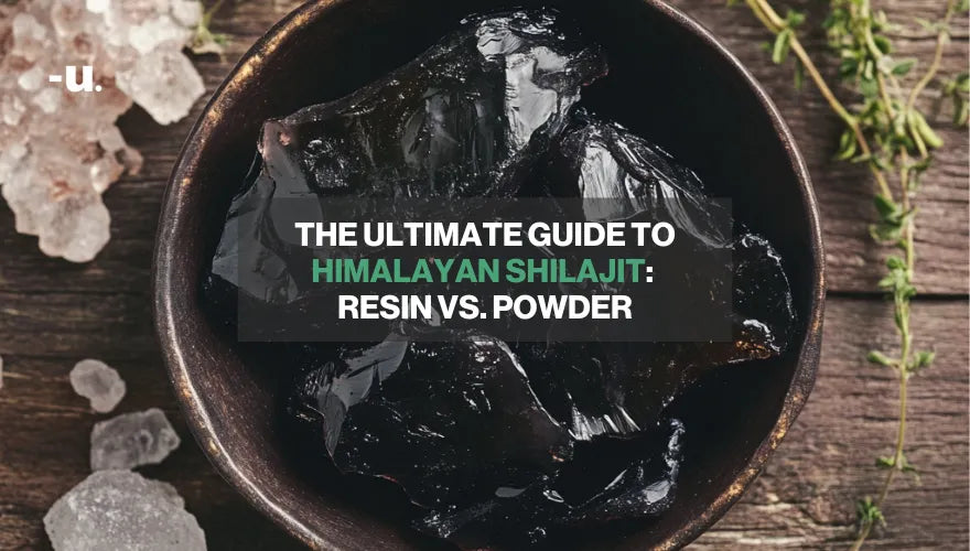 The Ultimate Guide to Himalayan Shilajit: Resin vs. Powder