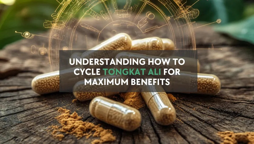 Understanding how to cycle Tongkat Ali for maximum benefits