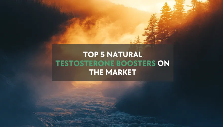 Top 5 Naturlige Testosteron Boostere