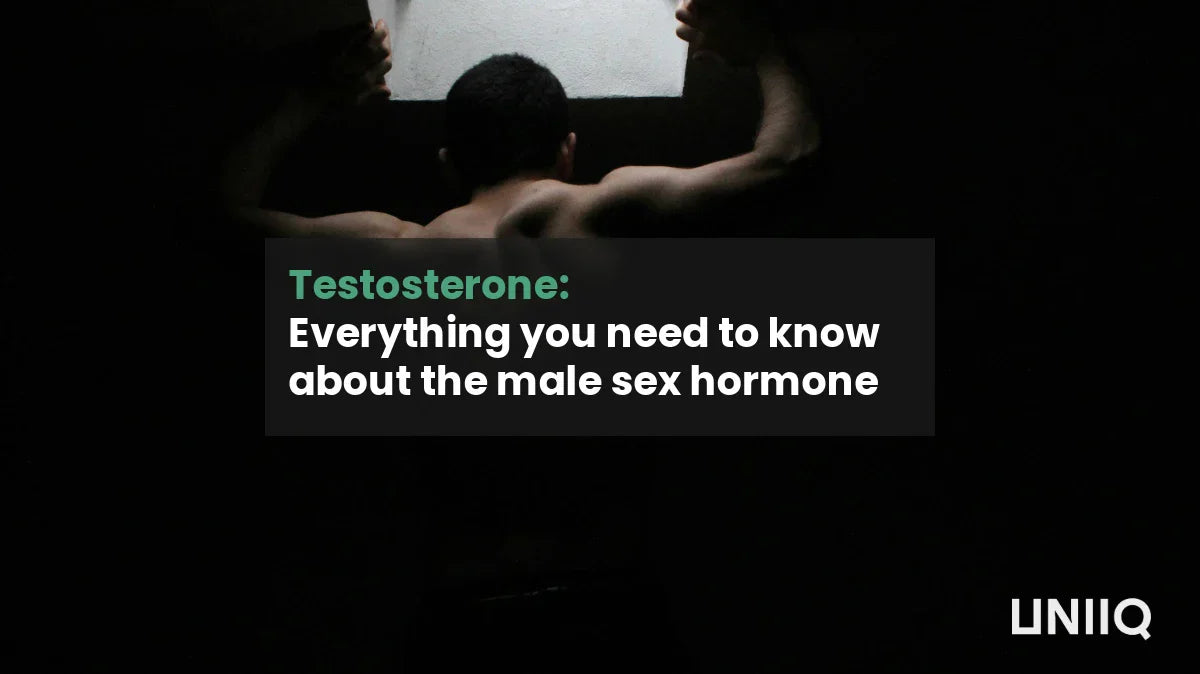 Testosterone: Everything you need to know about the male sex hormone