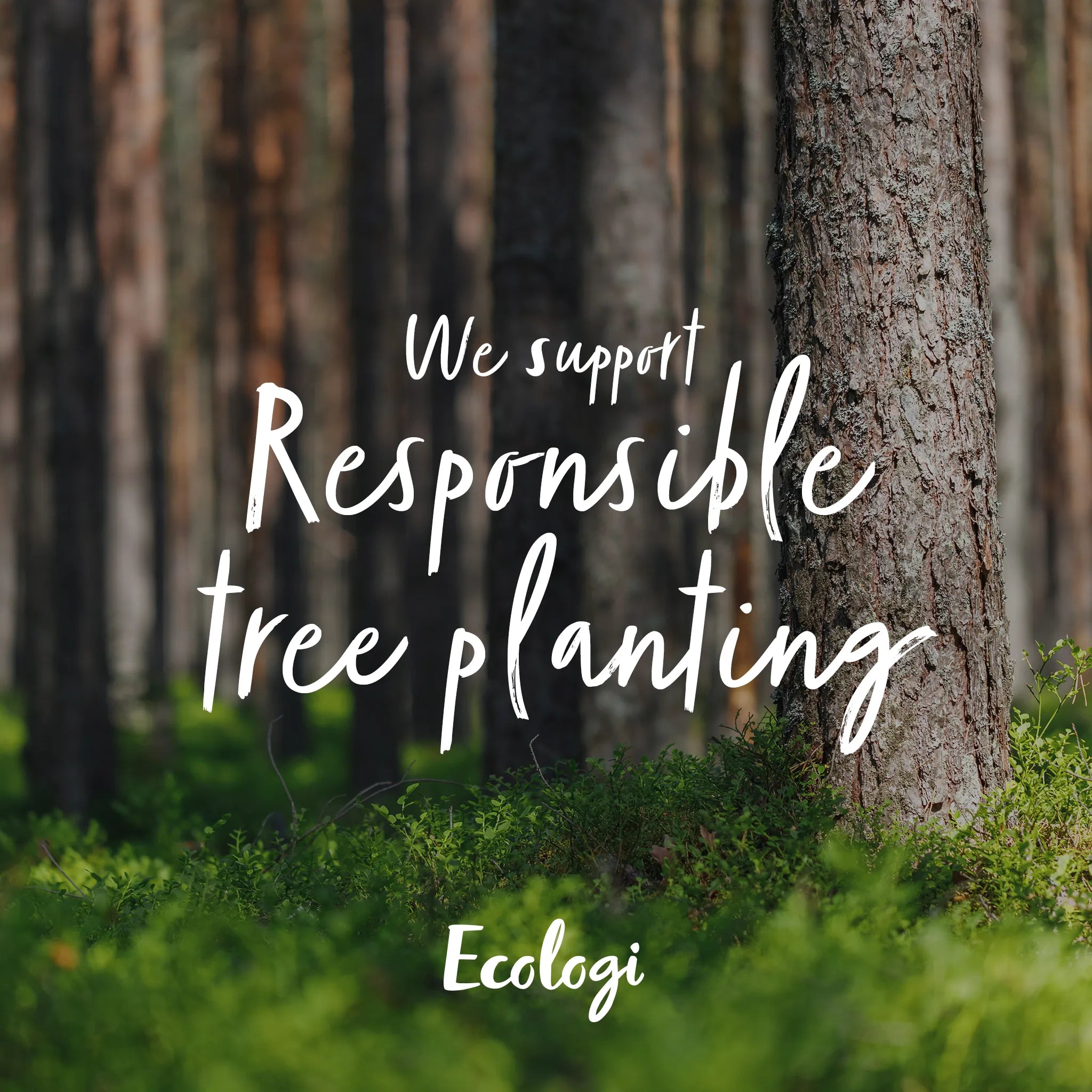 Ecologi responsible tree planting